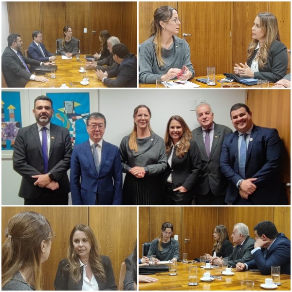 CRO-SE e CFO conquistam apoio da deputada federal Katarina Feitoza, em Brasília